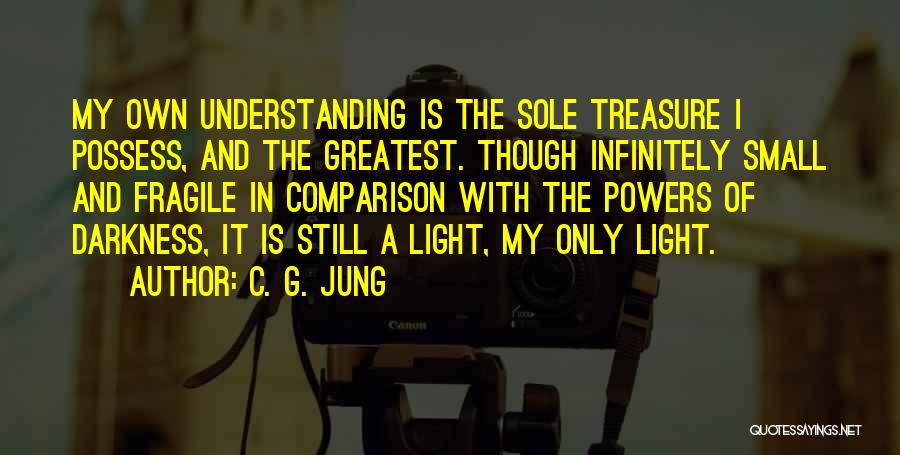 C. G. Jung Quotes: My Own Understanding Is The Sole Treasure I Possess, And The Greatest. Though Infinitely Small And Fragile In Comparison With