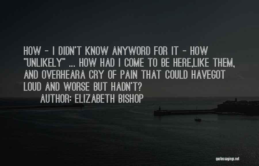 Elizabeth Bishop Quotes: How - I Didn't Know Anyword For It - How Unlikely ... How Had I Come To Be Here,like Them,