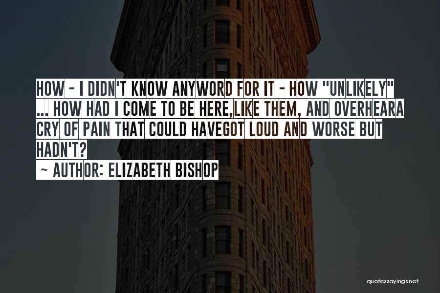 Elizabeth Bishop Quotes: How - I Didn't Know Anyword For It - How Unlikely ... How Had I Come To Be Here,like Them,