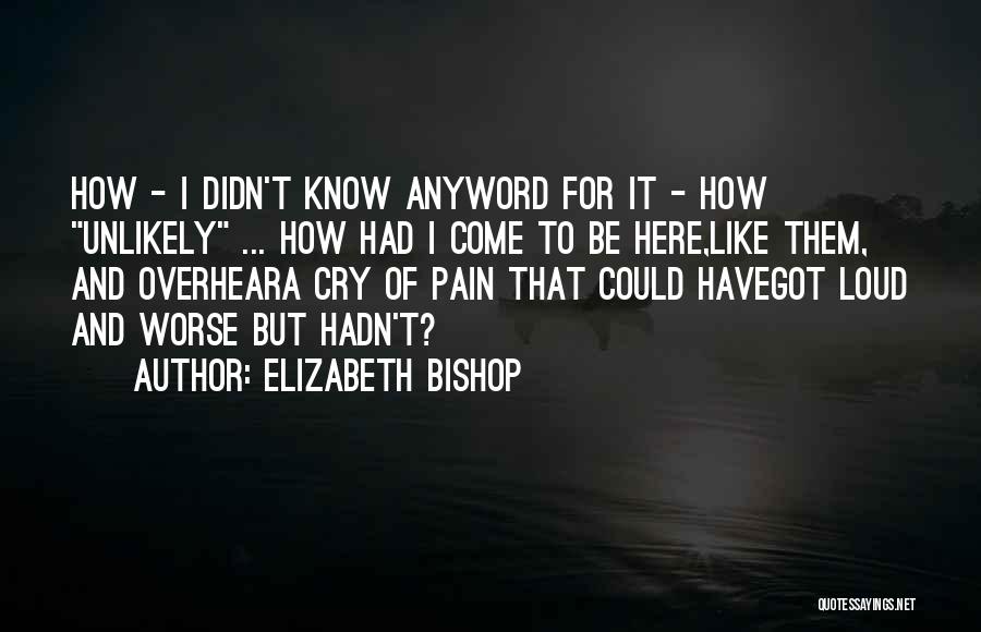 Elizabeth Bishop Quotes: How - I Didn't Know Anyword For It - How Unlikely ... How Had I Come To Be Here,like Them,