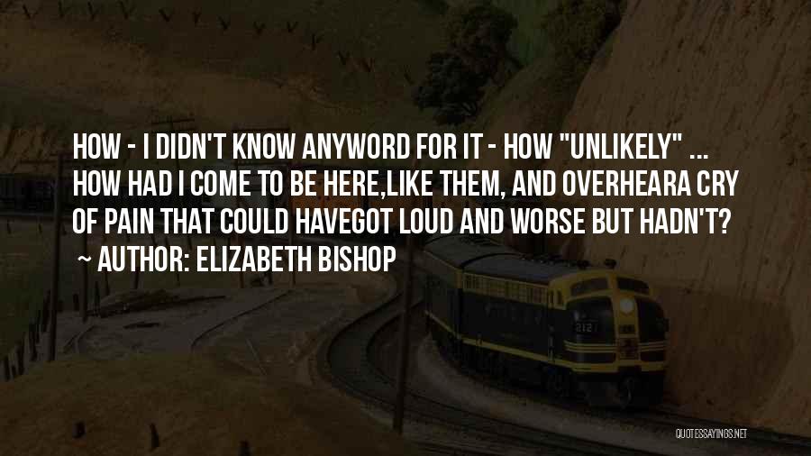 Elizabeth Bishop Quotes: How - I Didn't Know Anyword For It - How Unlikely ... How Had I Come To Be Here,like Them,