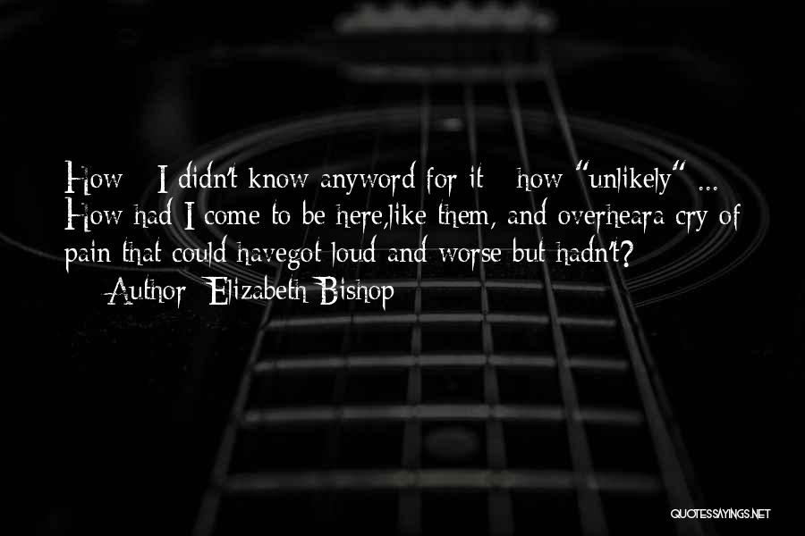Elizabeth Bishop Quotes: How - I Didn't Know Anyword For It - How Unlikely ... How Had I Come To Be Here,like Them,