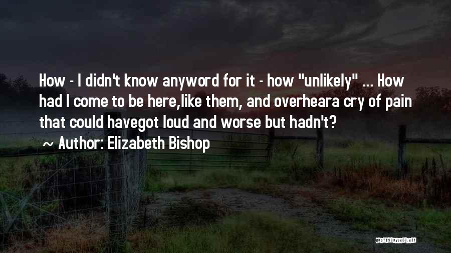 Elizabeth Bishop Quotes: How - I Didn't Know Anyword For It - How Unlikely ... How Had I Come To Be Here,like Them,
