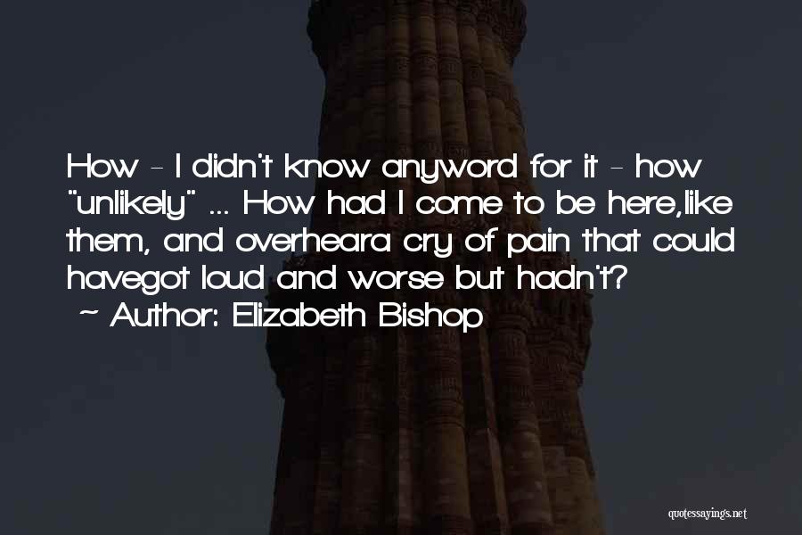 Elizabeth Bishop Quotes: How - I Didn't Know Anyword For It - How Unlikely ... How Had I Come To Be Here,like Them,