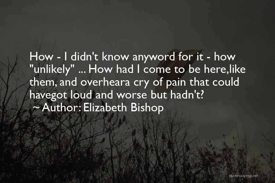 Elizabeth Bishop Quotes: How - I Didn't Know Anyword For It - How Unlikely ... How Had I Come To Be Here,like Them,