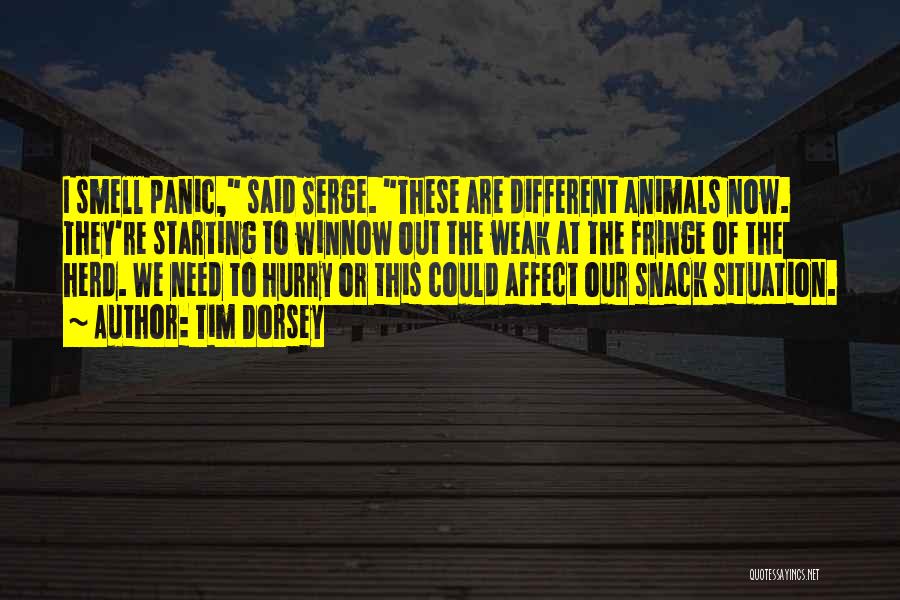 Tim Dorsey Quotes: I Smell Panic, Said Serge. These Are Different Animals Now. They're Starting To Winnow Out The Weak At The Fringe