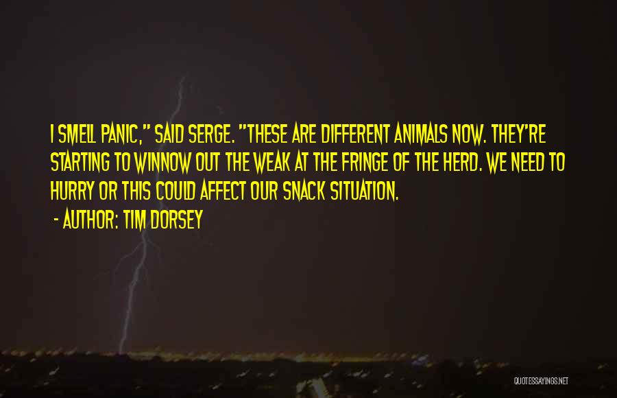 Tim Dorsey Quotes: I Smell Panic, Said Serge. These Are Different Animals Now. They're Starting To Winnow Out The Weak At The Fringe