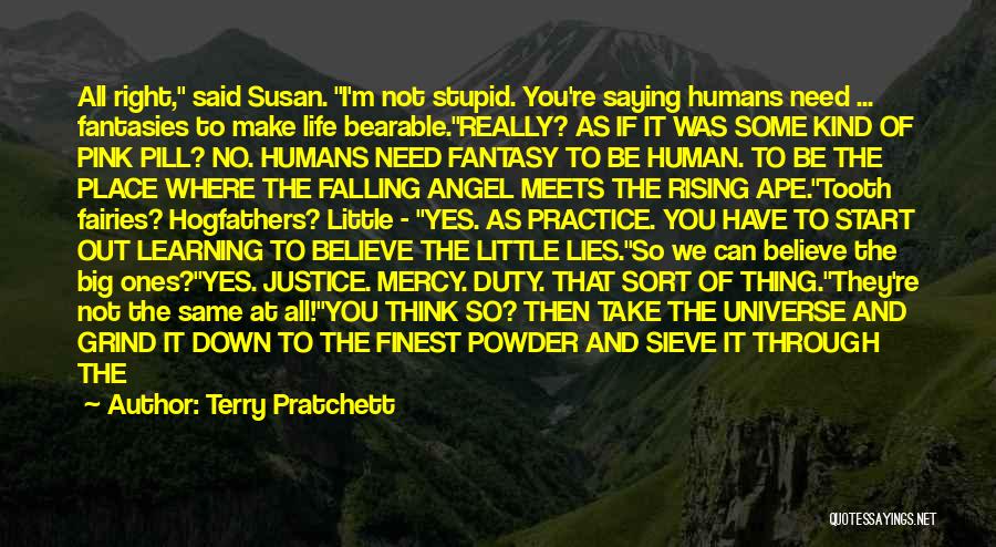 Terry Pratchett Quotes: All Right, Said Susan. I'm Not Stupid. You're Saying Humans Need ... Fantasies To Make Life Bearable.really? As If It