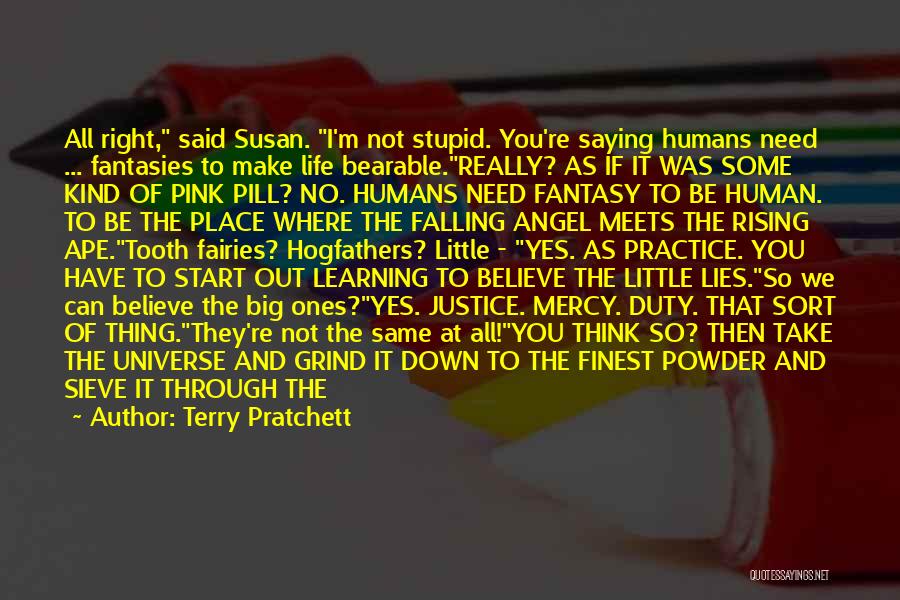 Terry Pratchett Quotes: All Right, Said Susan. I'm Not Stupid. You're Saying Humans Need ... Fantasies To Make Life Bearable.really? As If It