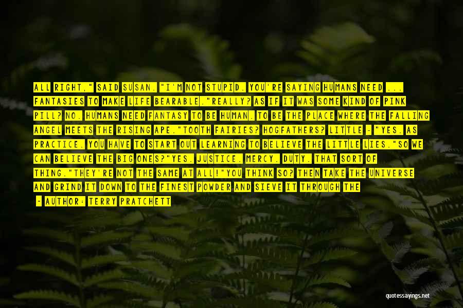 Terry Pratchett Quotes: All Right, Said Susan. I'm Not Stupid. You're Saying Humans Need ... Fantasies To Make Life Bearable.really? As If It