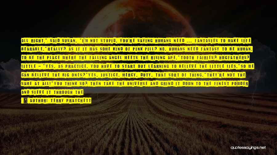 Terry Pratchett Quotes: All Right, Said Susan. I'm Not Stupid. You're Saying Humans Need ... Fantasies To Make Life Bearable.really? As If It