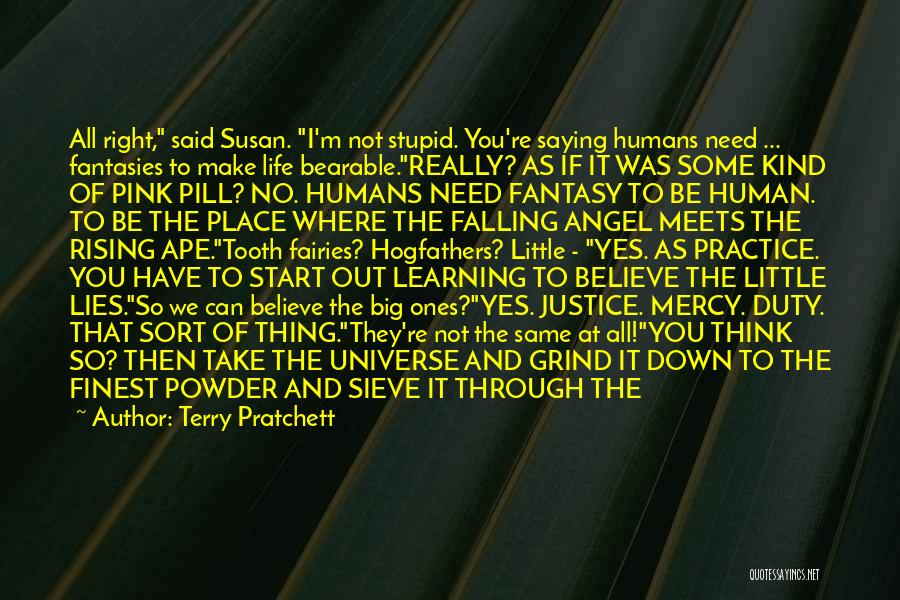 Terry Pratchett Quotes: All Right, Said Susan. I'm Not Stupid. You're Saying Humans Need ... Fantasies To Make Life Bearable.really? As If It