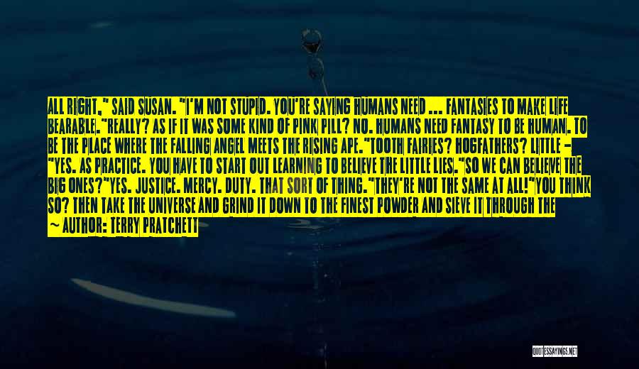 Terry Pratchett Quotes: All Right, Said Susan. I'm Not Stupid. You're Saying Humans Need ... Fantasies To Make Life Bearable.really? As If It