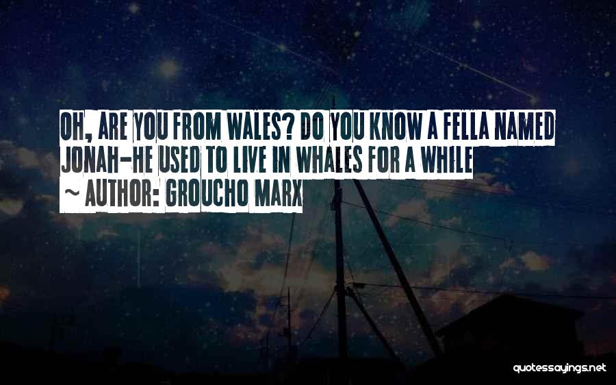 Groucho Marx Quotes: Oh, Are You From Wales? Do You Know A Fella Named Jonah-he Used To Live In Whales For A While