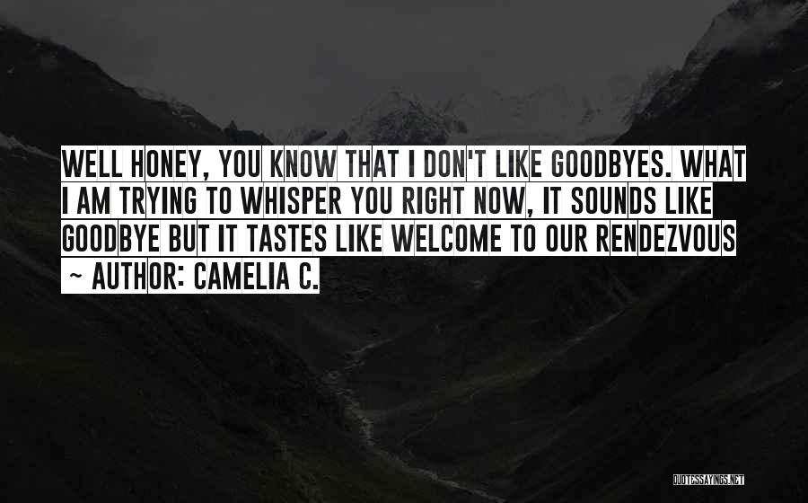 Camelia C. Quotes: Well Honey, You Know That I Don't Like Goodbyes. What I Am Trying To Whisper You Right Now, It Sounds