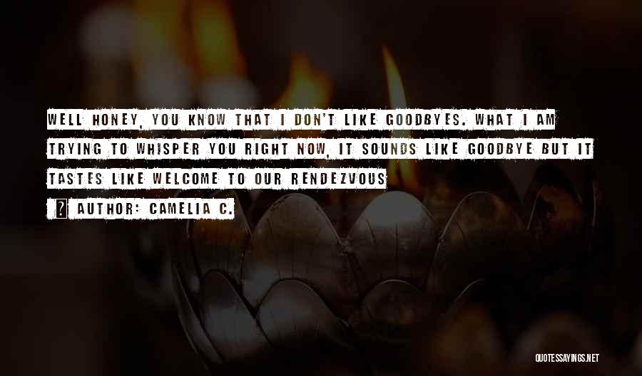 Camelia C. Quotes: Well Honey, You Know That I Don't Like Goodbyes. What I Am Trying To Whisper You Right Now, It Sounds