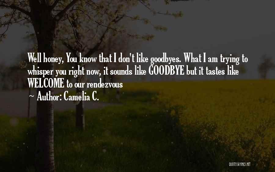 Camelia C. Quotes: Well Honey, You Know That I Don't Like Goodbyes. What I Am Trying To Whisper You Right Now, It Sounds