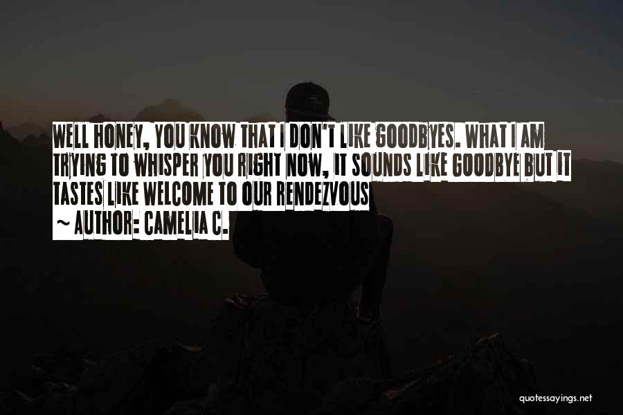 Camelia C. Quotes: Well Honey, You Know That I Don't Like Goodbyes. What I Am Trying To Whisper You Right Now, It Sounds