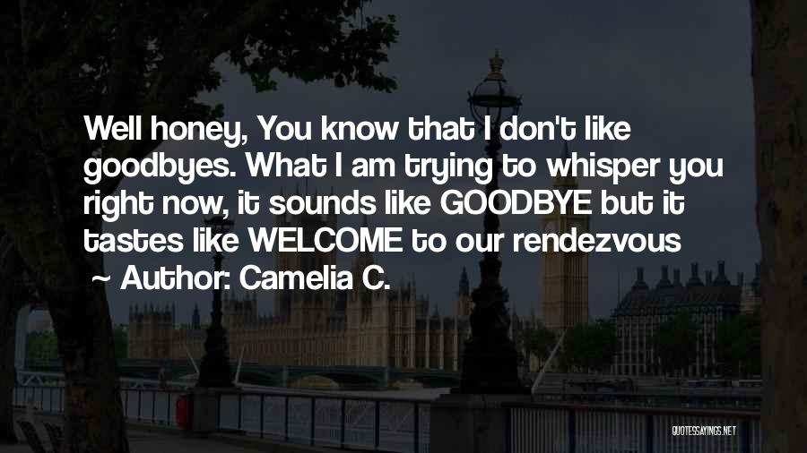 Camelia C. Quotes: Well Honey, You Know That I Don't Like Goodbyes. What I Am Trying To Whisper You Right Now, It Sounds