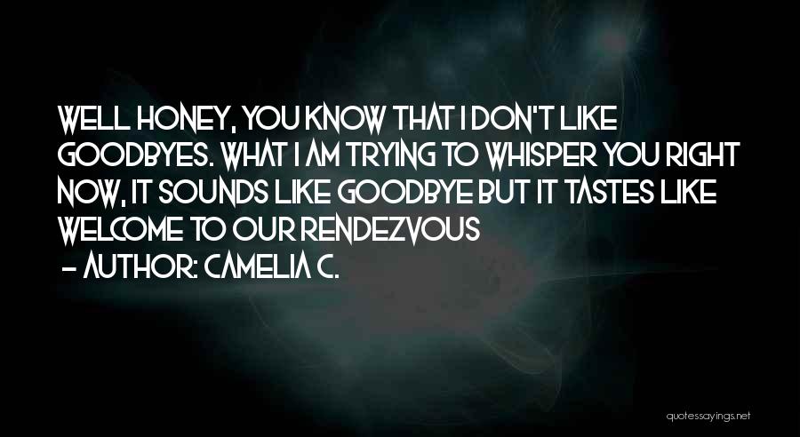 Camelia C. Quotes: Well Honey, You Know That I Don't Like Goodbyes. What I Am Trying To Whisper You Right Now, It Sounds