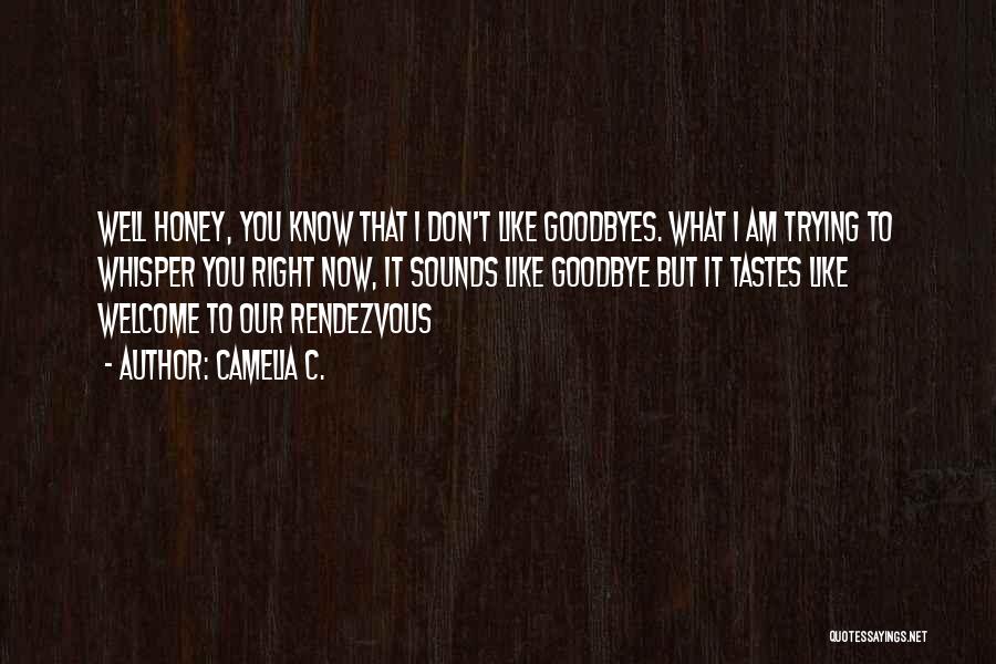 Camelia C. Quotes: Well Honey, You Know That I Don't Like Goodbyes. What I Am Trying To Whisper You Right Now, It Sounds