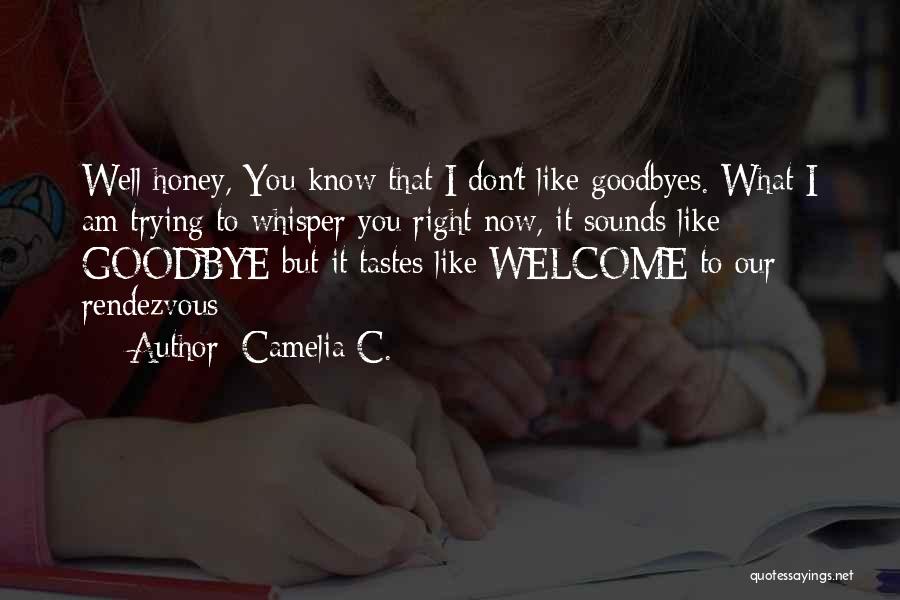 Camelia C. Quotes: Well Honey, You Know That I Don't Like Goodbyes. What I Am Trying To Whisper You Right Now, It Sounds