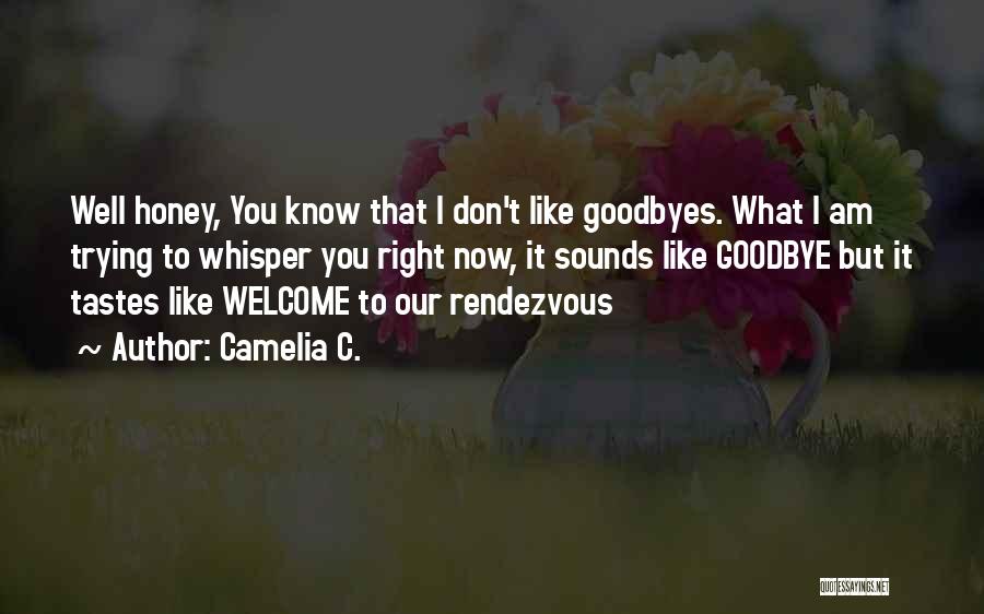 Camelia C. Quotes: Well Honey, You Know That I Don't Like Goodbyes. What I Am Trying To Whisper You Right Now, It Sounds