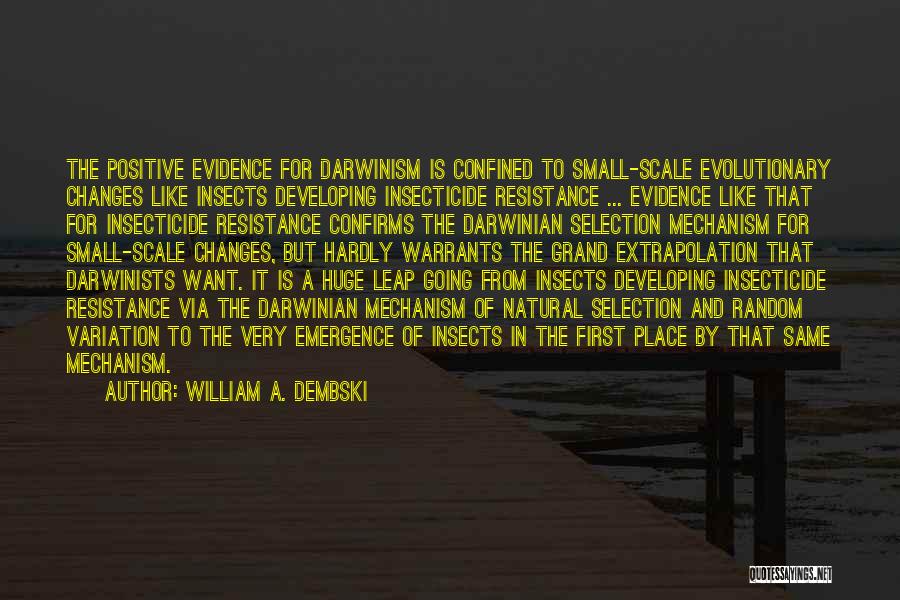 William A. Dembski Quotes: The Positive Evidence For Darwinism Is Confined To Small-scale Evolutionary Changes Like Insects Developing Insecticide Resistance ... Evidence Like That