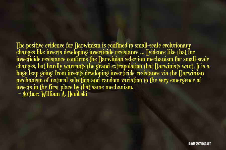 William A. Dembski Quotes: The Positive Evidence For Darwinism Is Confined To Small-scale Evolutionary Changes Like Insects Developing Insecticide Resistance ... Evidence Like That