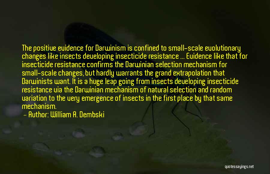 William A. Dembski Quotes: The Positive Evidence For Darwinism Is Confined To Small-scale Evolutionary Changes Like Insects Developing Insecticide Resistance ... Evidence Like That