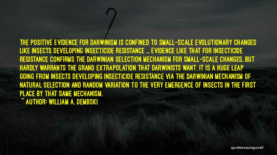 William A. Dembski Quotes: The Positive Evidence For Darwinism Is Confined To Small-scale Evolutionary Changes Like Insects Developing Insecticide Resistance ... Evidence Like That