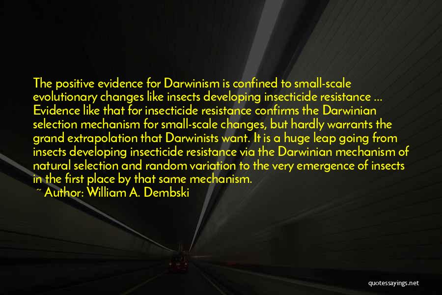 William A. Dembski Quotes: The Positive Evidence For Darwinism Is Confined To Small-scale Evolutionary Changes Like Insects Developing Insecticide Resistance ... Evidence Like That