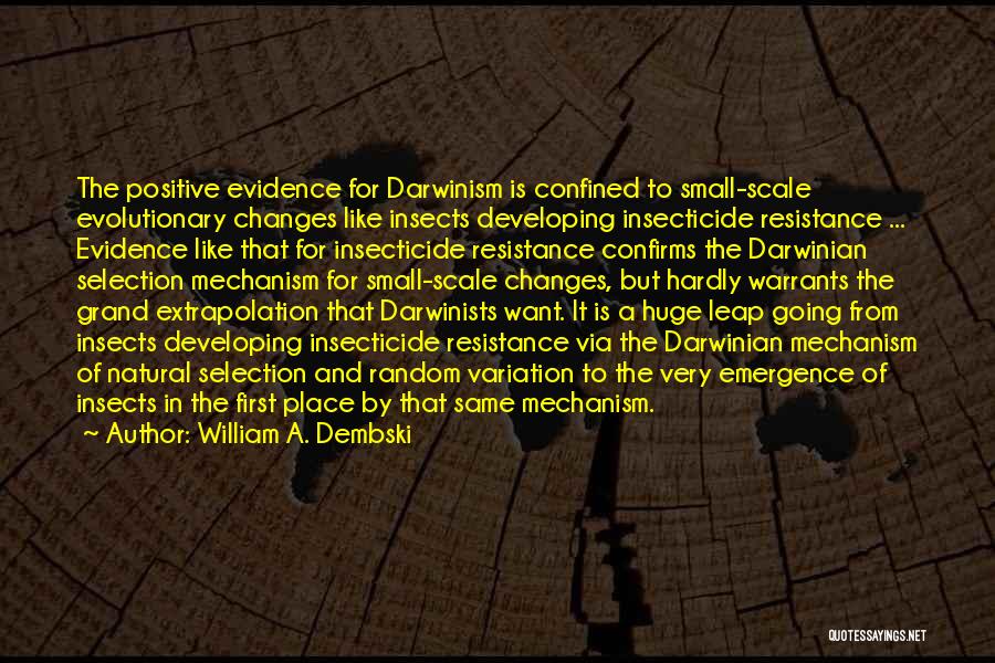 William A. Dembski Quotes: The Positive Evidence For Darwinism Is Confined To Small-scale Evolutionary Changes Like Insects Developing Insecticide Resistance ... Evidence Like That