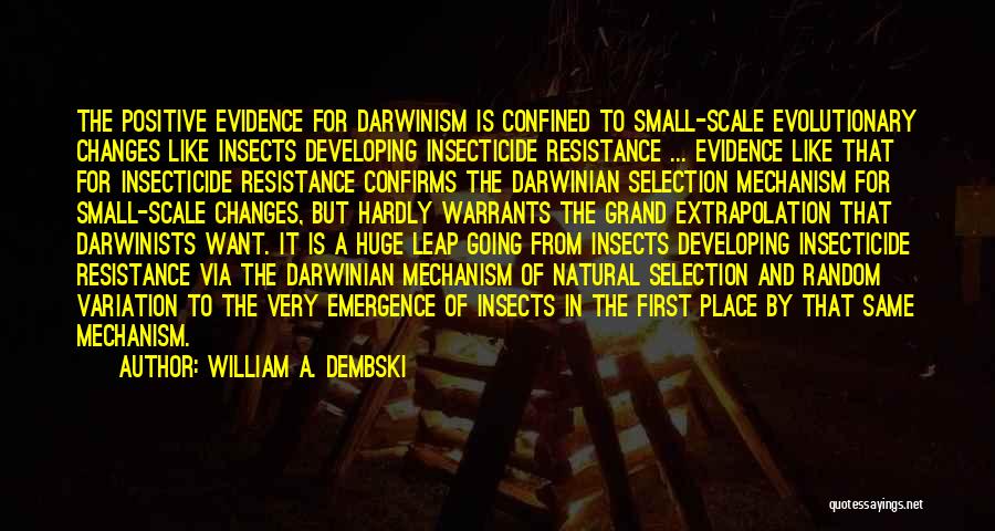 William A. Dembski Quotes: The Positive Evidence For Darwinism Is Confined To Small-scale Evolutionary Changes Like Insects Developing Insecticide Resistance ... Evidence Like That