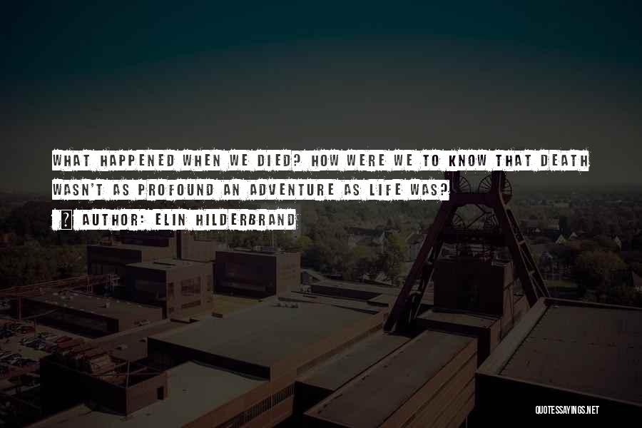 Elin Hilderbrand Quotes: What Happened When We Died? How Were We To Know That Death Wasn't As Profound An Adventure As Life Was?