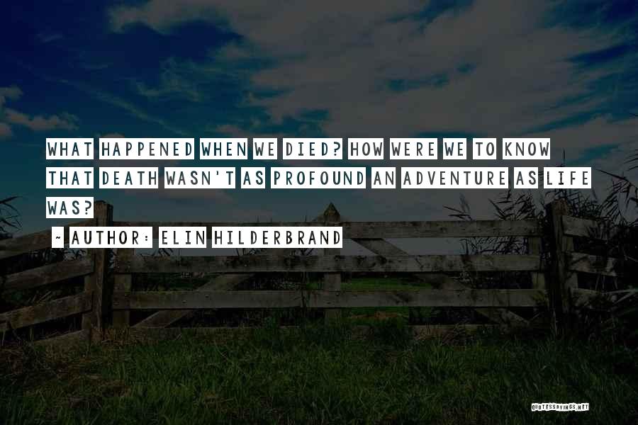 Elin Hilderbrand Quotes: What Happened When We Died? How Were We To Know That Death Wasn't As Profound An Adventure As Life Was?