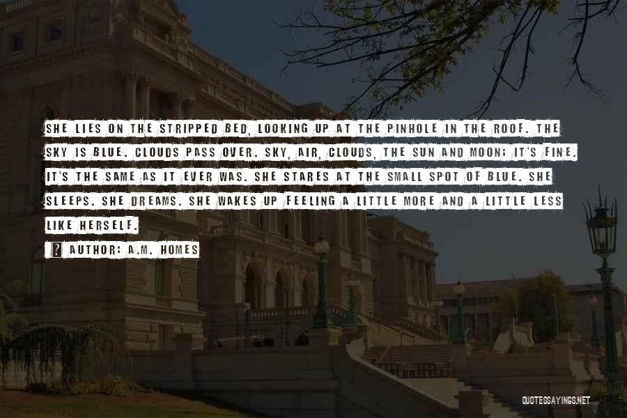 A.M. Homes Quotes: She Lies On The Stripped Bed, Looking Up At The Pinhole In The Roof. The Sky Is Blue. Clouds Pass