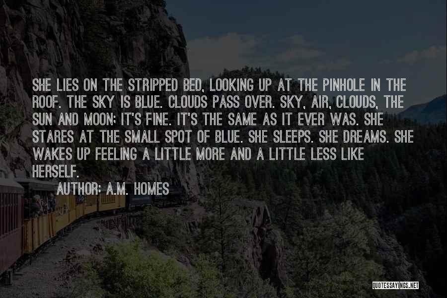 A.M. Homes Quotes: She Lies On The Stripped Bed, Looking Up At The Pinhole In The Roof. The Sky Is Blue. Clouds Pass