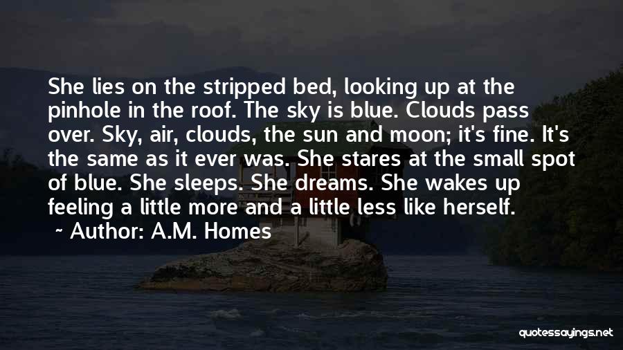 A.M. Homes Quotes: She Lies On The Stripped Bed, Looking Up At The Pinhole In The Roof. The Sky Is Blue. Clouds Pass