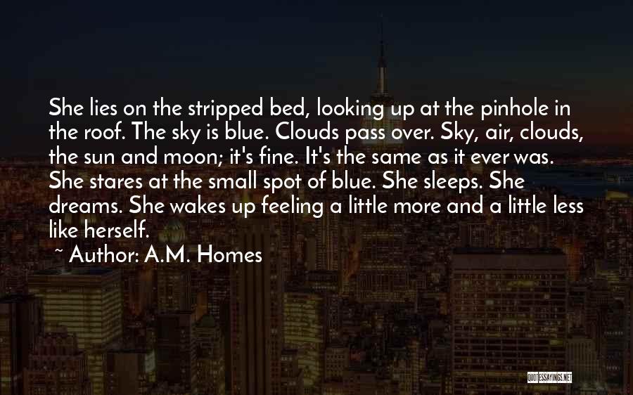 A.M. Homes Quotes: She Lies On The Stripped Bed, Looking Up At The Pinhole In The Roof. The Sky Is Blue. Clouds Pass