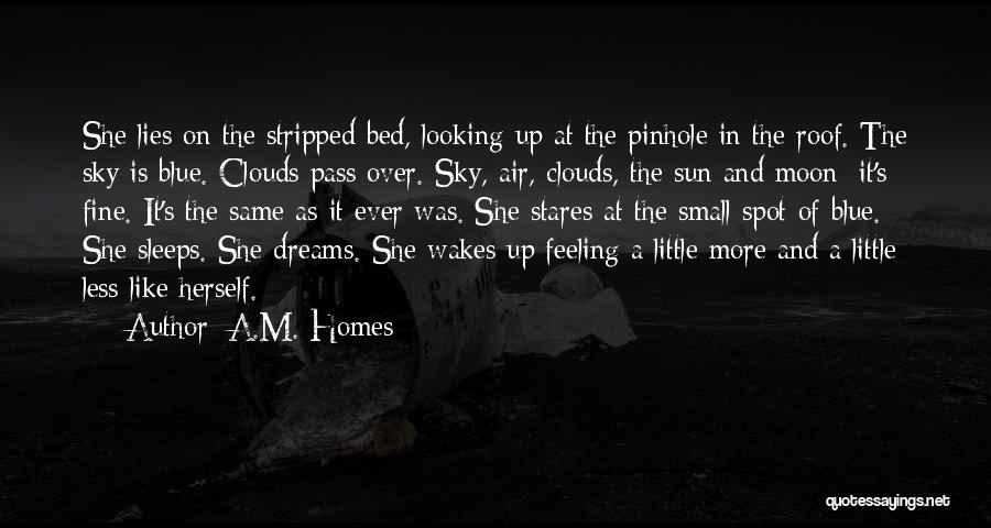 A.M. Homes Quotes: She Lies On The Stripped Bed, Looking Up At The Pinhole In The Roof. The Sky Is Blue. Clouds Pass