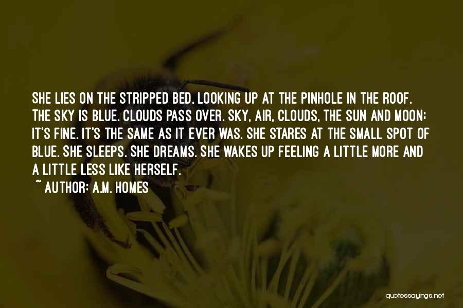 A.M. Homes Quotes: She Lies On The Stripped Bed, Looking Up At The Pinhole In The Roof. The Sky Is Blue. Clouds Pass