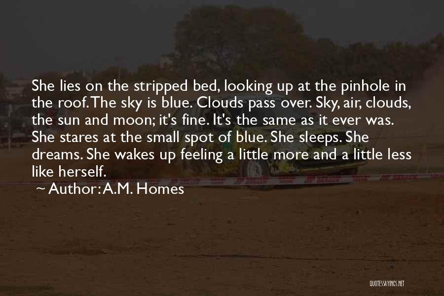 A.M. Homes Quotes: She Lies On The Stripped Bed, Looking Up At The Pinhole In The Roof. The Sky Is Blue. Clouds Pass