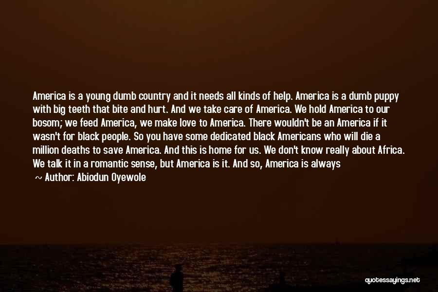 Abiodun Oyewole Quotes: America Is A Young Dumb Country And It Needs All Kinds Of Help. America Is A Dumb Puppy With Big