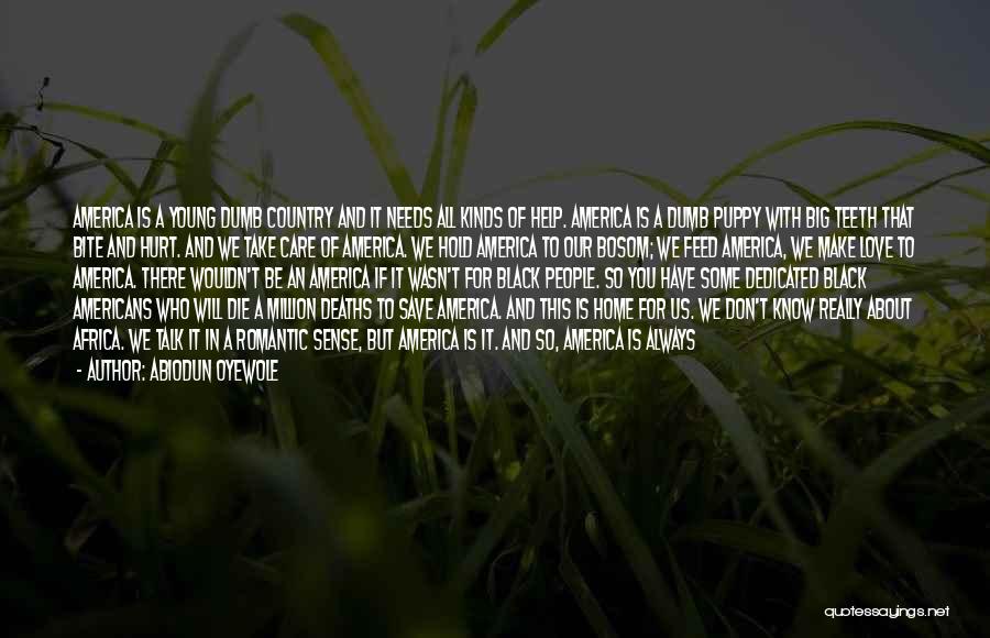 Abiodun Oyewole Quotes: America Is A Young Dumb Country And It Needs All Kinds Of Help. America Is A Dumb Puppy With Big