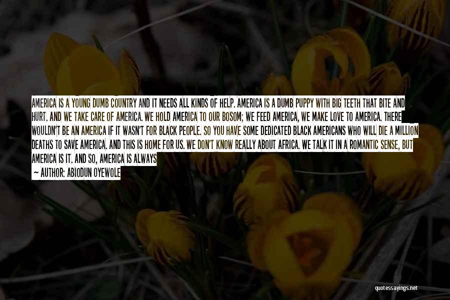 Abiodun Oyewole Quotes: America Is A Young Dumb Country And It Needs All Kinds Of Help. America Is A Dumb Puppy With Big