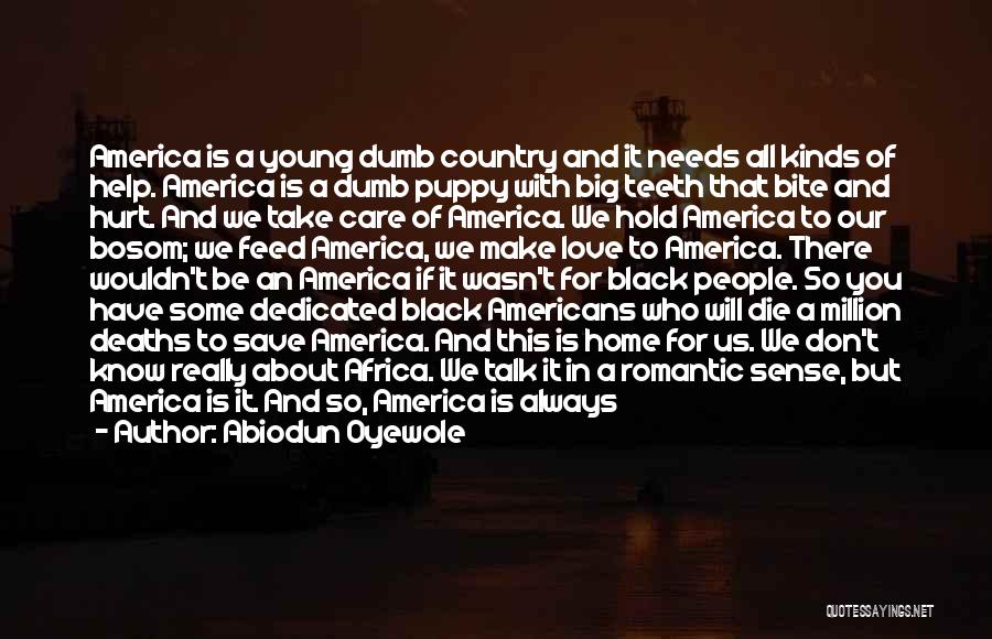 Abiodun Oyewole Quotes: America Is A Young Dumb Country And It Needs All Kinds Of Help. America Is A Dumb Puppy With Big