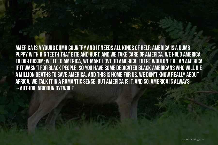 Abiodun Oyewole Quotes: America Is A Young Dumb Country And It Needs All Kinds Of Help. America Is A Dumb Puppy With Big