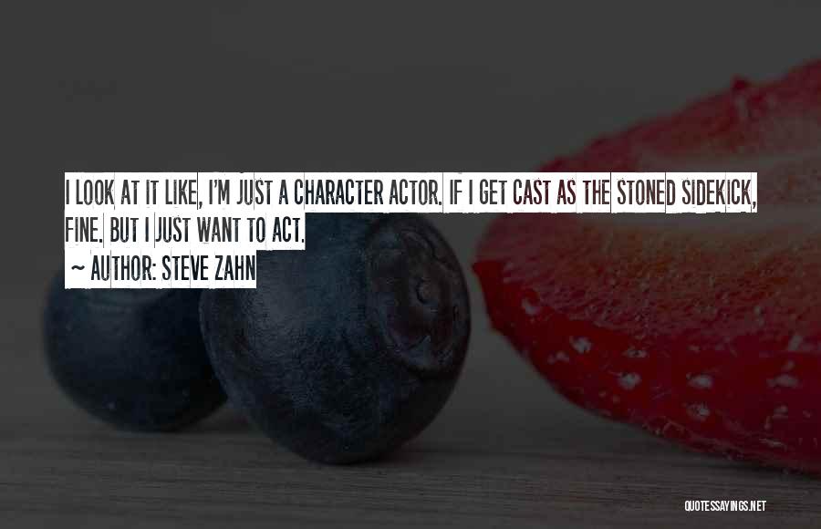 Steve Zahn Quotes: I Look At It Like, I'm Just A Character Actor. If I Get Cast As The Stoned Sidekick, Fine. But