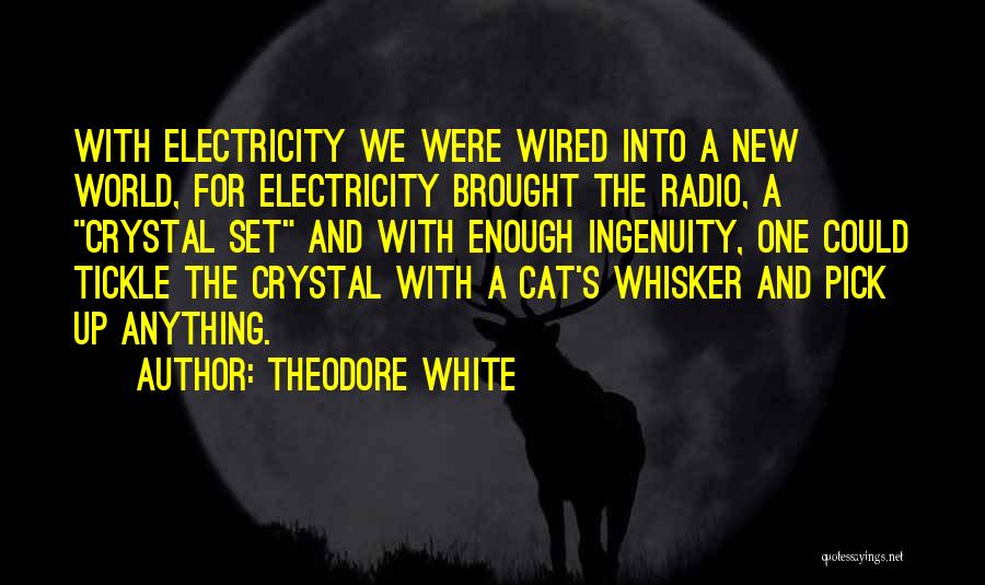 Theodore White Quotes: With Electricity We Were Wired Into A New World, For Electricity Brought The Radio, A Crystal Set And With Enough